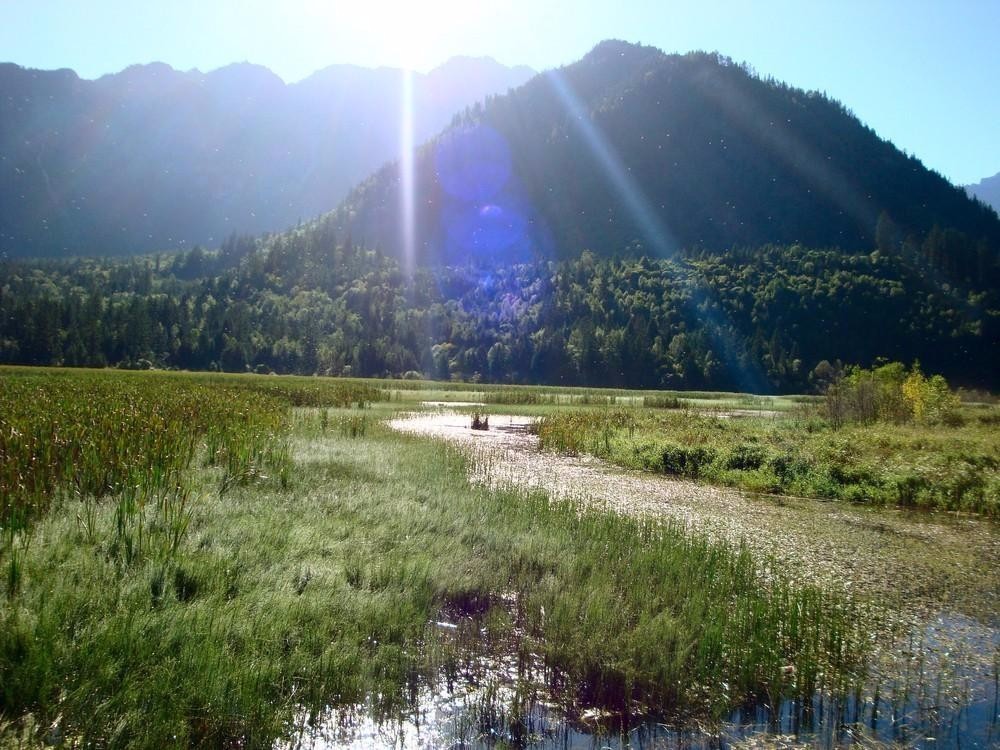 微信投票怎么刷?可以用微信点赞互赞互相投票