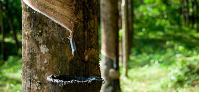 枕头的高度决定我们身体的状态,为了自己的颈