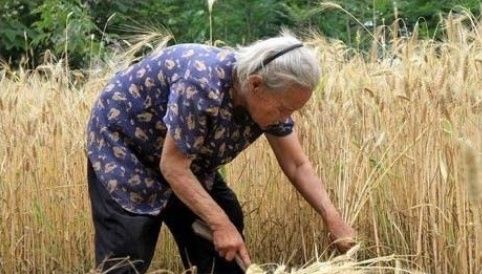 在农村独生女家庭父母老了,养老该怎么办?