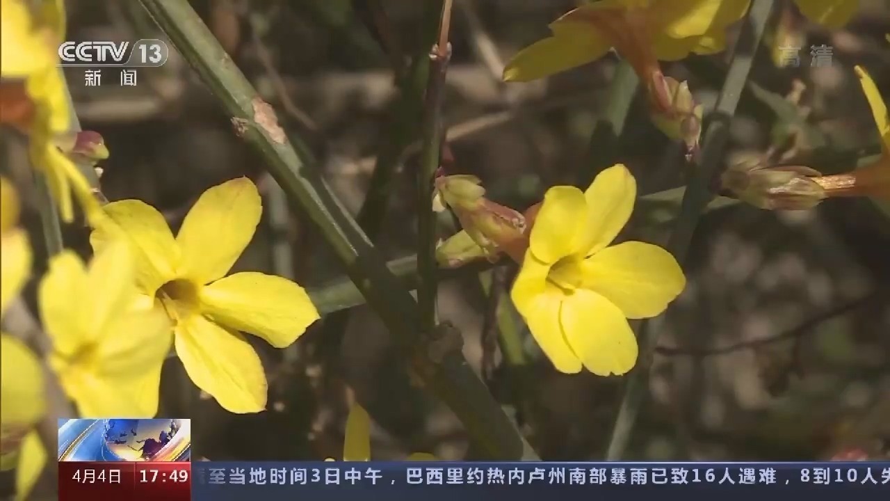 致敏花粉进入高峰期，变态反应科患者增多，敏感人群应该如何应对？