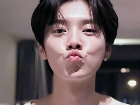 刘昊然的年收入,张艺兴的年收入,杨洋的年收入