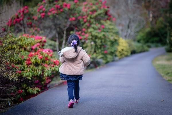 农村一果子,专治孩子咳嗽有痰,小半碗下肚,睡一