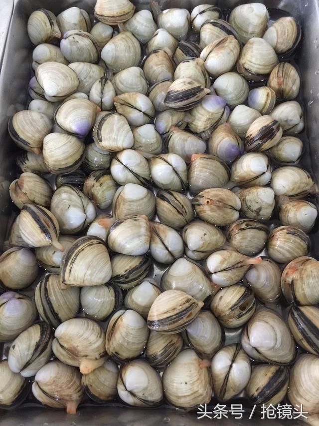 荣成石岛海鲜大全|贝类篇,快来看看你认识几个