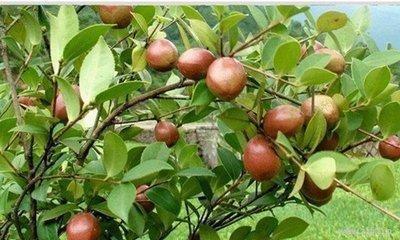 湿疹常伴在身治不好?百岁中医的一个土方,多人