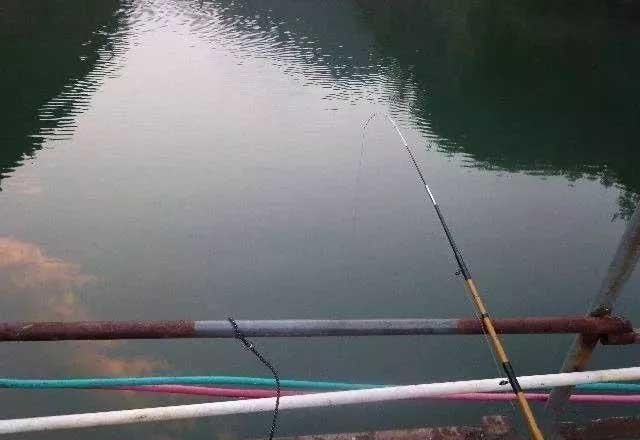 这种钓法如今被禁,用泥鳅打窝,日钓百斤大鱼!