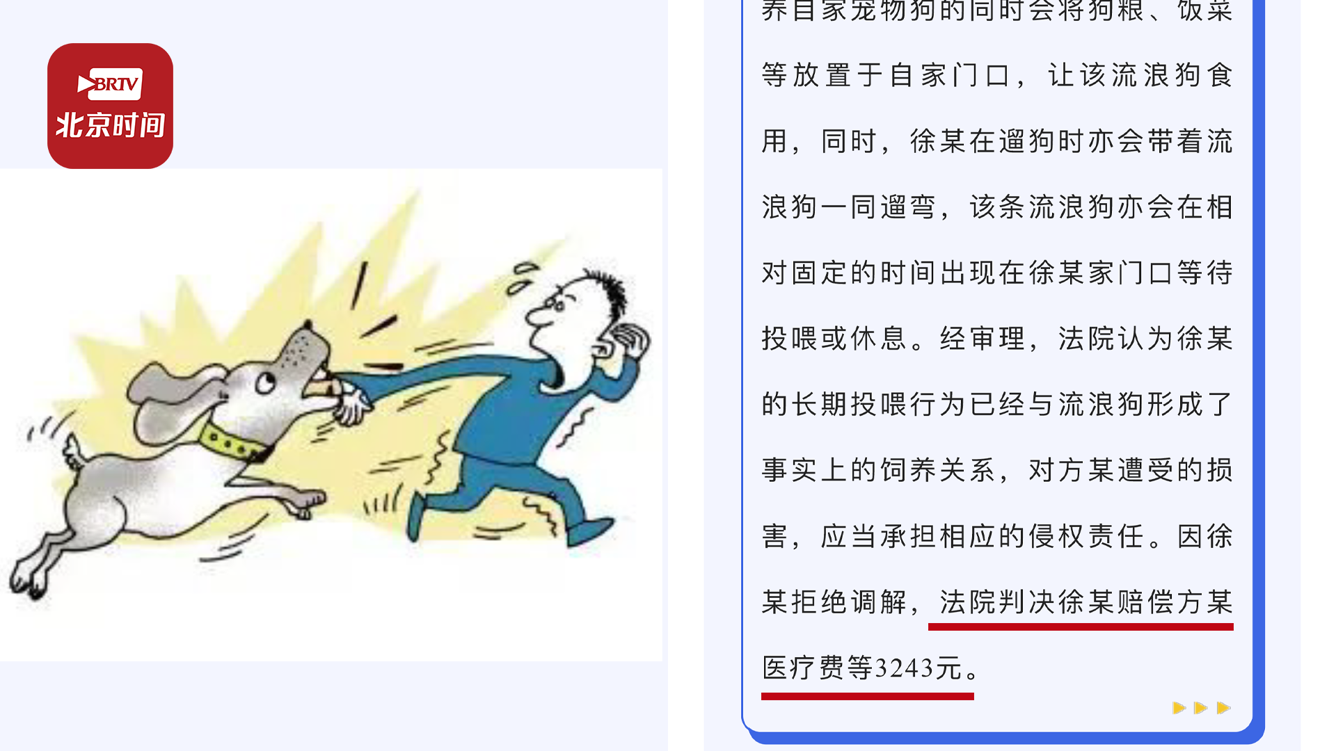 小区流浪狗咬伤人 长期投喂者被判担责赔偿医药费_北京时间