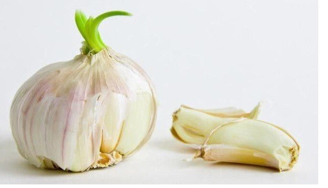 发芽的大蒜吃了会中毒?其实结果是这样,很多人