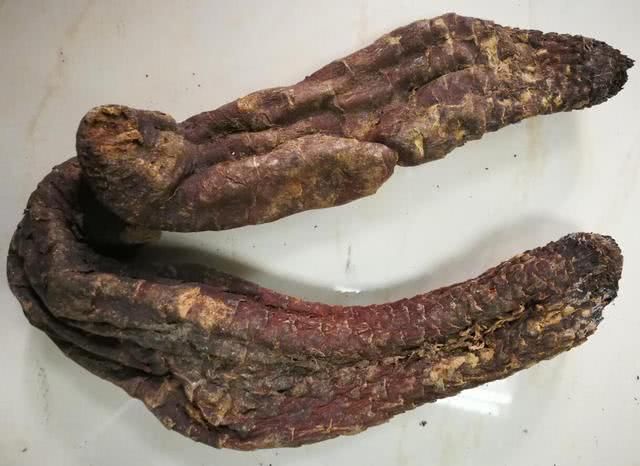 滋补五宝茶久泡之后,老婆不在身边,不要乱喝!