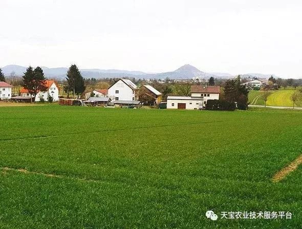 2018年农村旧房改造政策!交多少钱?满足什么