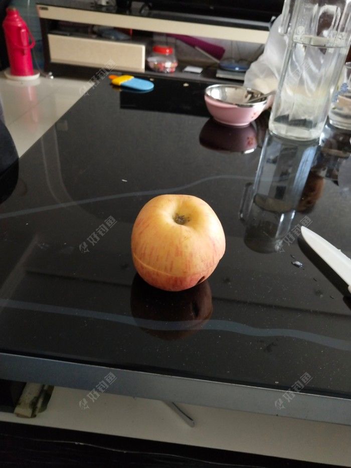 红虫怎么保存不会死?看我做个红虫保存器