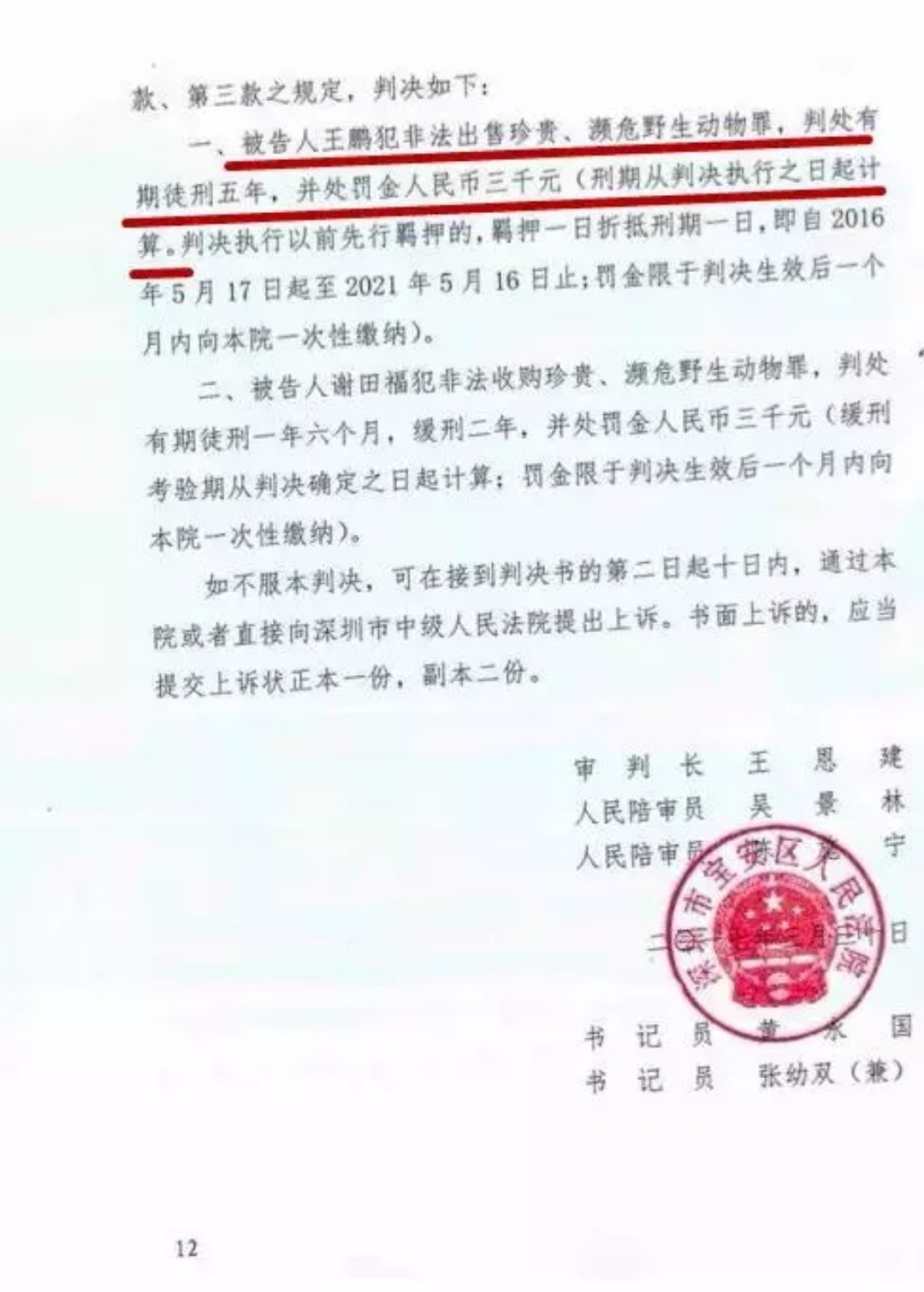 “鹦鹉案”二审宣判次日  王鹏妻子：仍决定申诉无罪 这是权利