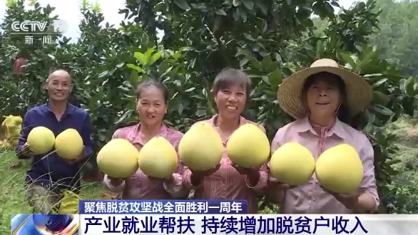 牢牢守住不发生规模性返贫底线 他们这样做 牢牢守住不发生规模性返贫底线 他们这样做