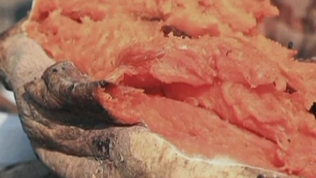 《记忆》20200113冬季里的北京味儿