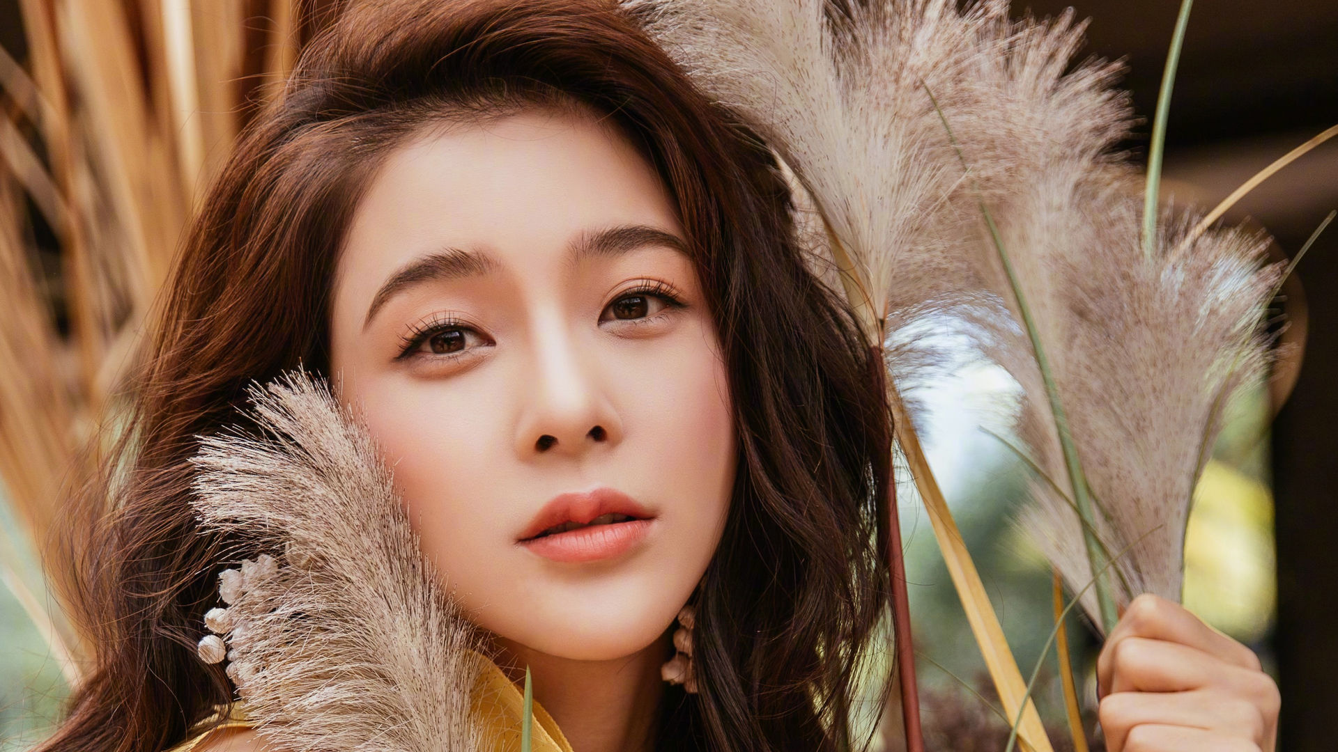 美女演员赵韩樱子桌面壁纸,淡雅如菊!