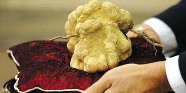 世界上最顶级的十大食材,中国美食排第一,马云