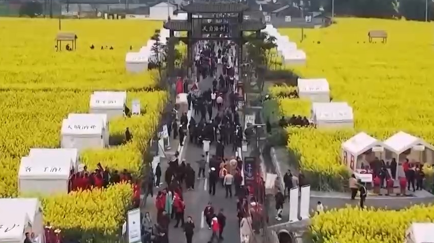 油菜花田里涮火锅是种什么体验？快来解锁春日新玩法_北京时间