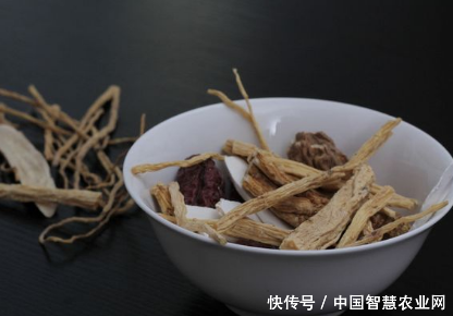 智慧农业:物联网一品一码药材追溯系统