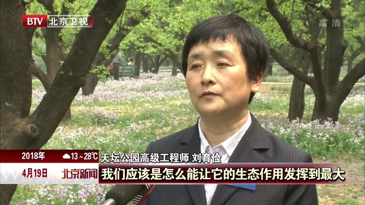 适地适草 林下繁花 北京市属公园大力推广乡土植物 适地适草 林下繁花 北京市属公园大力推广乡土植物