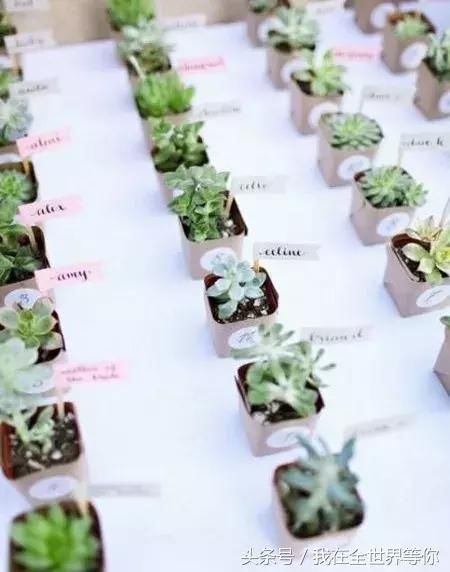 抚慰心灵的森林系温柔力量!2018 Pantone 流行