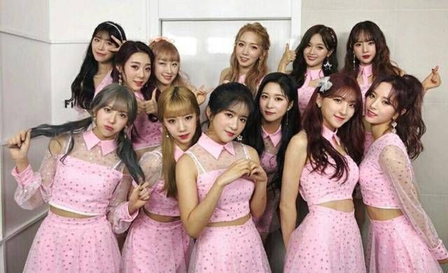 卜凡,乐华七子上海场,孟美岐只关注了他,想不到