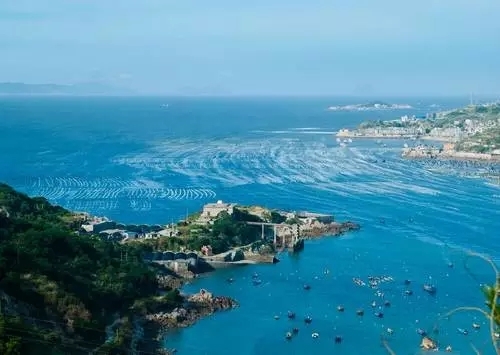 福建海鲜界的四大天王你知道是谁吗!图解福建海洋产业!