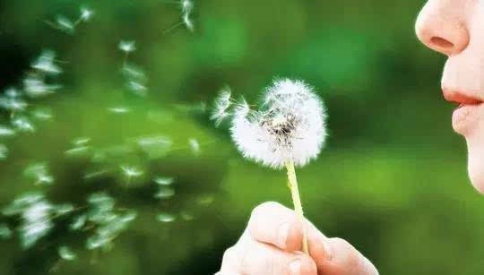 葡萄籽ve软胶囊的作用 吃葡萄籽胶囊的作用