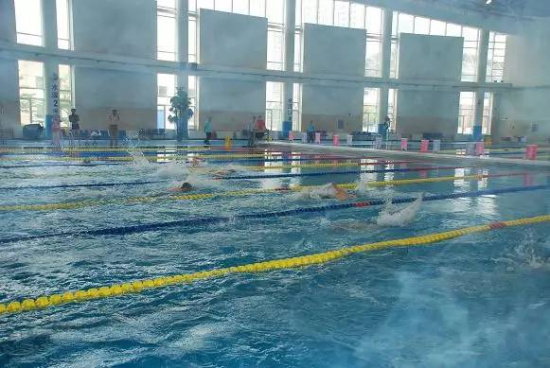 高温天儿去游泳吧 沈阳最靠谱游泳馆全都在这