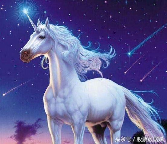 独角兽个股总览,重点:大众公用,神思电子,四维图