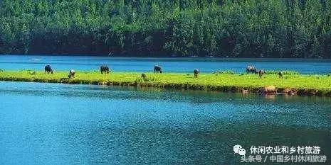 乡村振兴商机无限,未来十年,你拼什么?