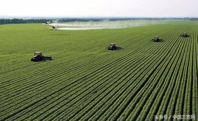 为啥美国农民收入很高 农产品价格却很便宜?