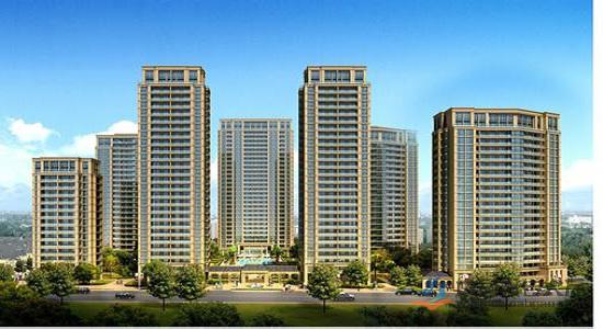 浙江房地产公司排名