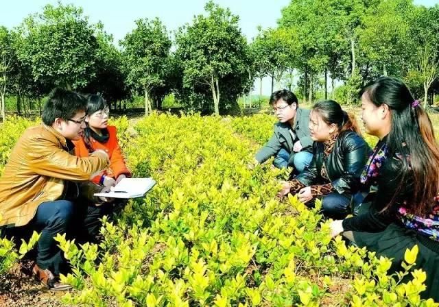 重大新政!村干部可转编公务员!事业单位更有大