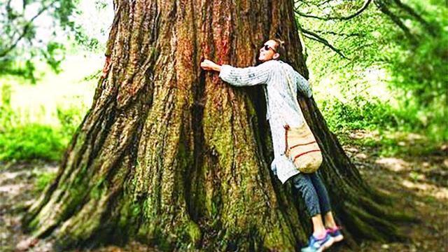 热评|这届年轻人流行“抱树”解压?抱树虽好,可别轻信“疗法”_北京时间