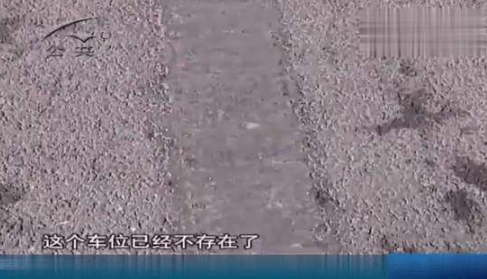 司机停车在停车位上 交警为何上去就贴罚单!山