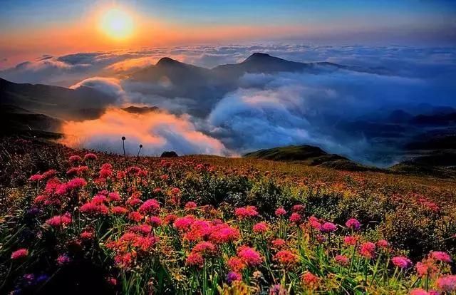 贵州最值得去的20个地方,原来毕节是这几个…