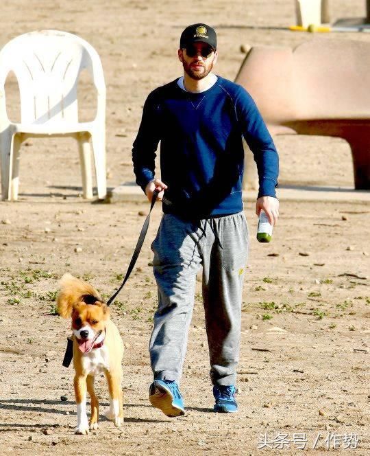 一部《妖猫传》,炸出了一大波娱乐圈的猫奴和