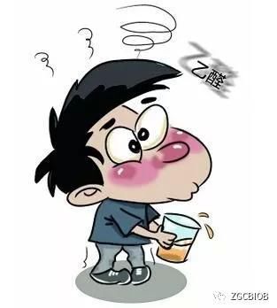 科学家已证明中国人喝酒更容易致癌