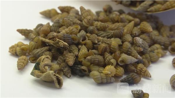 吴江:春季查螺正当时 市民发现钉螺可获2000元奖励