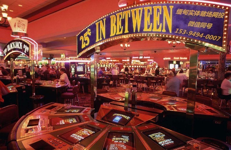 那么多人玩网赌,为啥没几个能赢钱的?