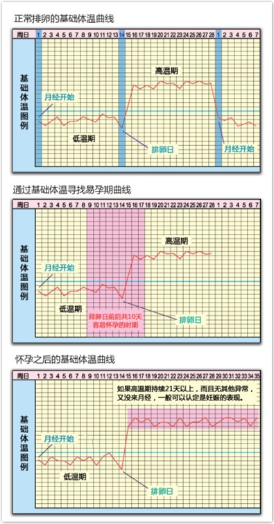 看到這裡,相信大家就明白了,基礎體溫的變化實際上反映了女性的生理