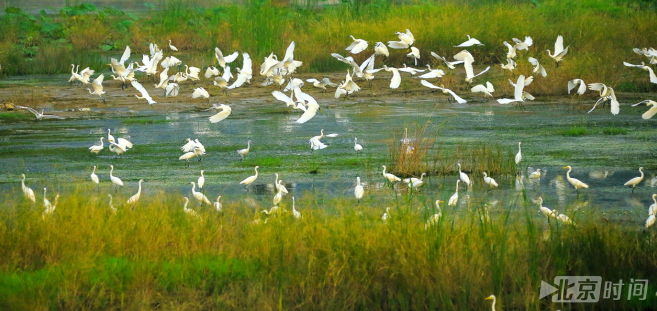平谷区打造北京首个国家森林城市 森林覆盖率达67.9% 平谷区打造北京首个国家森林城市 森林覆盖率达67.9%