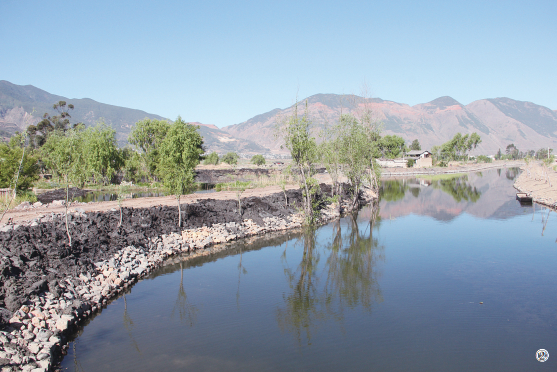 洱源三南生态湿地建设及河道生态修复工程快速