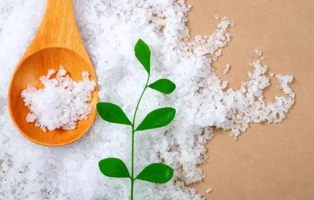 宝宝为什么不能吃盐?转给长辈们吧!