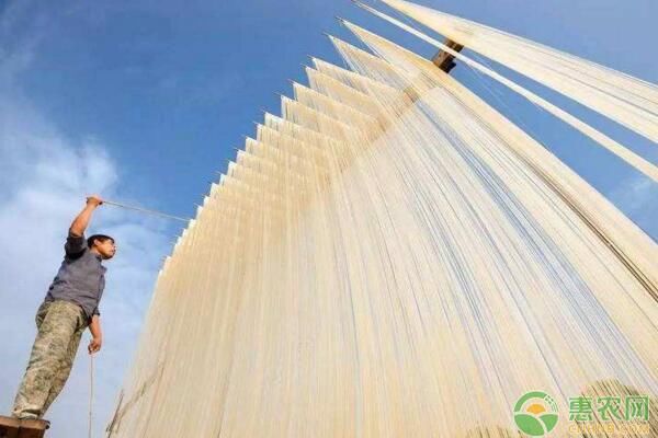 农村种植哪些能赚钱?2018农村致富项目介绍