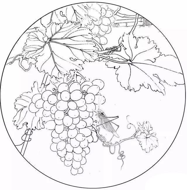 49幅经典高清国画白描作品