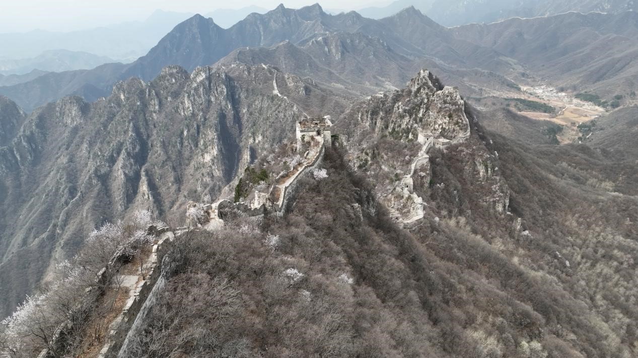 要考古先伐木 箭扣长城考古再启动 要考古先伐木 箭扣长城考古再启动