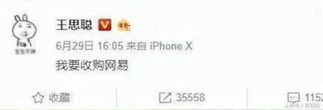 王思聪扬言要收购网易,原因竟是因为这款游戏