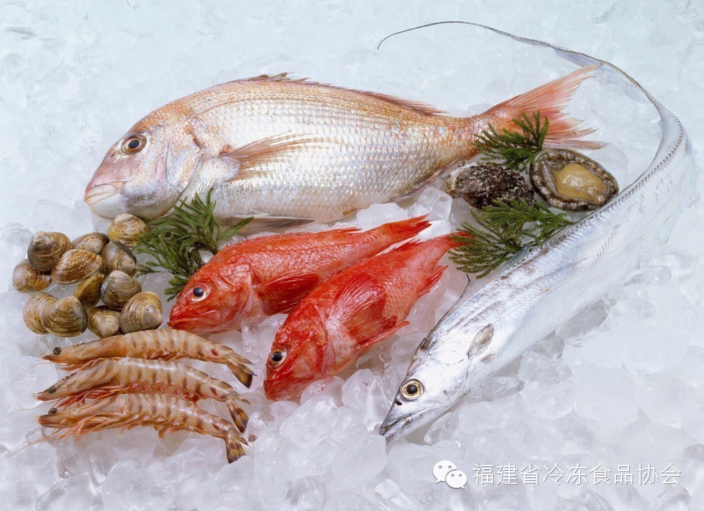 春季食鱼有诀窍，告诉你吃哪种鱼最好