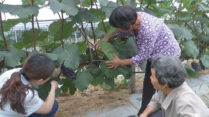 聚焦乡村人才振兴(一):造就乡土人才,积极培育