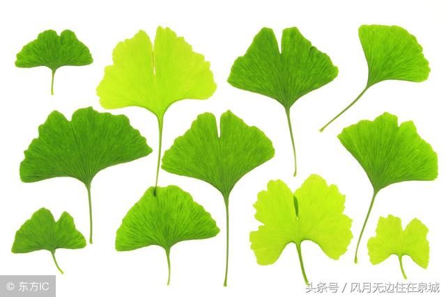 铁路职工持工作证可以免费进这些景区,是真的